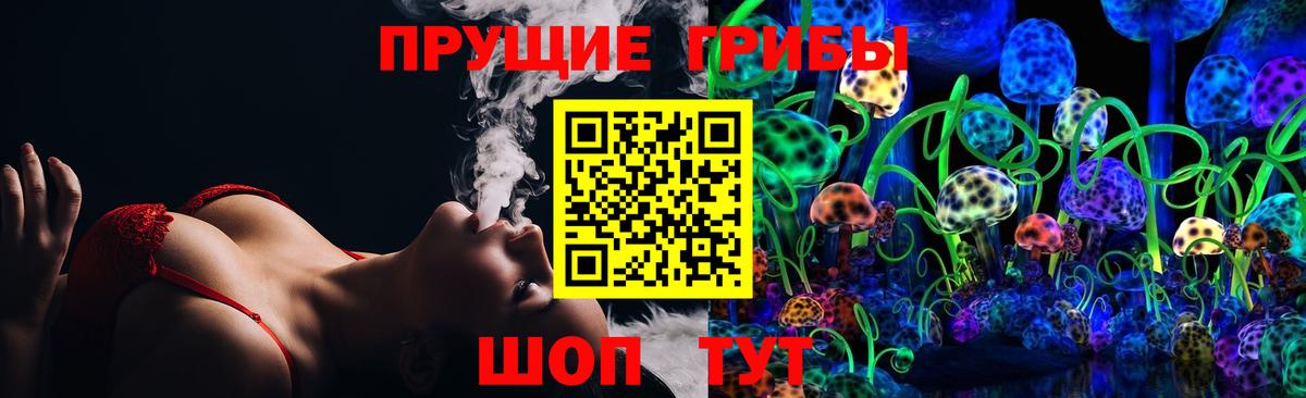 Галлюциногенные грибы Psilocybe Южно-Сахалинск
